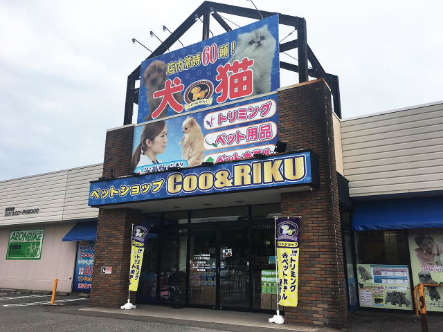 海動物病院　イオン野々市南往診所