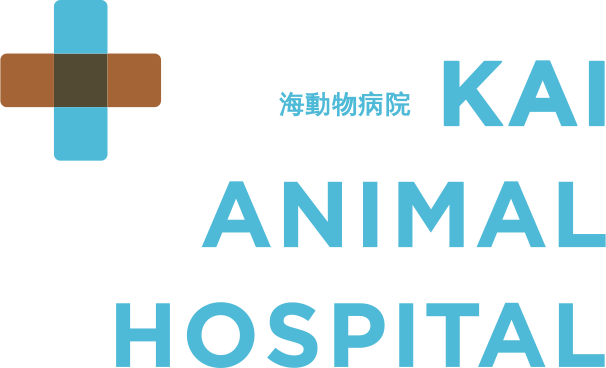 海動物病院 池袋往診所